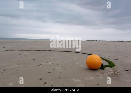 Gelbe Markierungsboje mit einem in grünen Algen gehüllten Seil, das in einer Kurve auf Strandsand in einem niedrigen Winkel abschrackt, und grauem Himmel auf amrum, Stockfoto