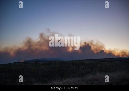 Kilpatrick Hills, Duntochter, Glasgow, Großbritannien. April 2020. Im Bild: Riesige Rauchwolken aus einem massiven Waldfeuer mit massiven Flammen auf den Kilpatrick-Hügeln in Glasgow. Quelle: Colin Fisher/Alamy Live News Stockfoto