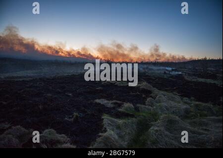 Kilpatrick Hills, Duntochter, Glasgow, Großbritannien. April 2020. Im Bild: Riesige Rauchwolken aus einem massiven Waldfeuer mit massiven Flammen auf den Kilpatrick-Hügeln in Glasgow. Quelle: Colin Fisher/Alamy Live News Stockfoto