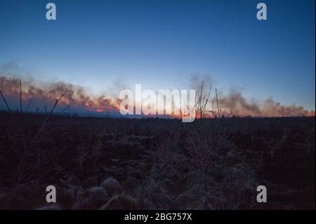 Kilpatrick Hills, Duntochter, Glasgow, Großbritannien. April 2020. Im Bild: Riesige Rauchwolken aus einem massiven Waldfeuer mit massiven Flammen auf den Kilpatrick-Hügeln in Glasgow. Quelle: Colin Fisher/Alamy Live News Stockfoto