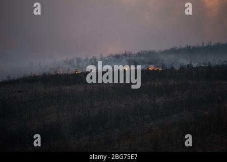 Kilpatrick Hills, Duntochter, Glasgow, Großbritannien. April 2020. Im Bild: Riesige Rauchwolken aus einem massiven Waldfeuer mit massiven Flammen auf den Kilpatrick-Hügeln in Glasgow. Quelle: Colin Fisher/Alamy Live News Stockfoto