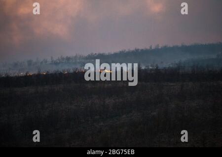 Kilpatrick Hills, Duntochter, Glasgow, Großbritannien. April 2020. Im Bild: Riesige Rauchwolken aus einem massiven Waldfeuer mit massiven Flammen auf den Kilpatrick-Hügeln in Glasgow. Quelle: Colin Fisher/Alamy Live News Stockfoto