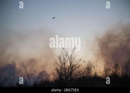 Kilpatrick Hills, Duntochter, Glasgow, Großbritannien. April 2020. Im Bild: Riesige Rauchwolken aus einem massiven Waldfeuer mit massiven Flammen auf den Kilpatrick-Hügeln in Glasgow. Quelle: Colin Fisher/Alamy Live News Stockfoto