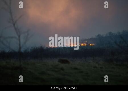 Kilpatrick Hills, Duntochter, Glasgow, Großbritannien. April 2020. Im Bild: Riesige Rauchwolken aus einem massiven Waldfeuer mit massiven Flammen auf den Kilpatrick-Hügeln in Glasgow. Quelle: Colin Fisher/Alamy Live News Stockfoto