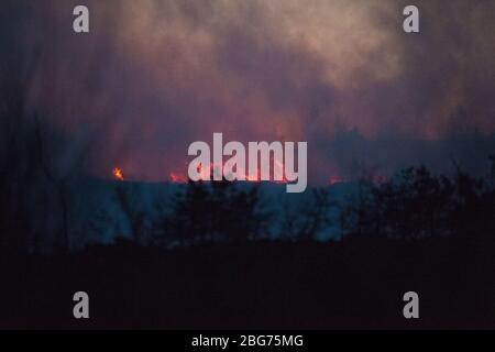 Kilpatrick Hills, Duntochter, Glasgow, Großbritannien. April 2020. Im Bild: Riesige Rauchwolken aus einem massiven Waldfeuer mit massiven Flammen auf den Kilpatrick-Hügeln in Glasgow. Quelle: Colin Fisher/Alamy Live News Stockfoto