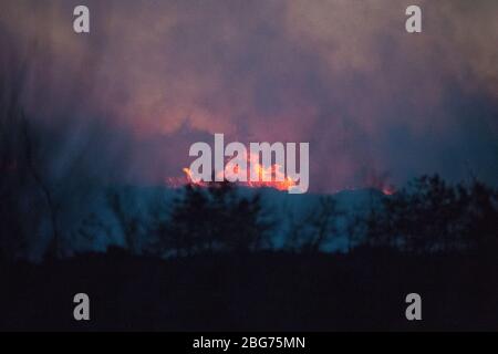 Kilpatrick Hills, Duntochter, Glasgow, Großbritannien. April 2020. Im Bild: Riesige Rauchwolken aus einem massiven Waldfeuer mit massiven Flammen auf den Kilpatrick-Hügeln in Glasgow. Quelle: Colin Fisher/Alamy Live News Stockfoto