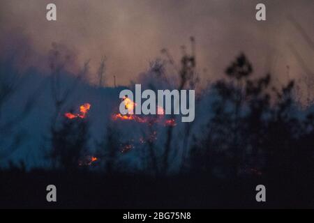 Kilpatrick Hills, Duntochter, Glasgow, Großbritannien. April 2020. Im Bild: Riesige Rauchwolken aus einem massiven Waldfeuer mit massiven Flammen auf den Kilpatrick-Hügeln in Glasgow. Quelle: Colin Fisher/Alamy Live News Stockfoto