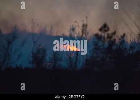 Kilpatrick Hills, Duntochter, Glasgow, Großbritannien. April 2020. Im Bild: Riesige Rauchwolken aus einem massiven Waldfeuer mit massiven Flammen auf den Kilpatrick-Hügeln in Glasgow. Quelle: Colin Fisher/Alamy Live News Stockfoto