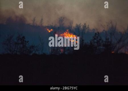 Kilpatrick Hills, Duntochter, Glasgow, Großbritannien. April 2020. Im Bild: Riesige Rauchwolken aus einem massiven Waldfeuer mit massiven Flammen auf den Kilpatrick-Hügeln in Glasgow. Quelle: Colin Fisher/Alamy Live News Stockfoto