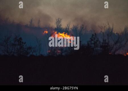 Kilpatrick Hills, Duntochter, Glasgow, Großbritannien. April 2020. Im Bild: Riesige Rauchwolken aus einem massiven Waldfeuer mit massiven Flammen auf den Kilpatrick-Hügeln in Glasgow. Quelle: Colin Fisher/Alamy Live News Stockfoto