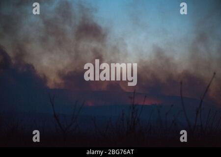 Kilpatrick Hills, Duntochter, Glasgow, Großbritannien. April 2020. Im Bild: Riesige Rauchwolken aus einem massiven Waldfeuer mit massiven Flammen auf den Kilpatrick-Hügeln in Glasgow. Quelle: Colin Fisher/Alamy Live News Stockfoto