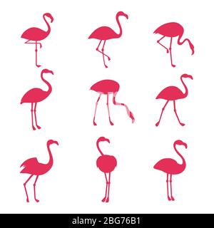 Rosa Flamingo Silhouetten isoliert auf weißem Hintergrund. Vektor Vogel tropische, Tier exotische Tierwelt Sammlung Illustration Stock Vektor