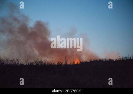 Kilpatrick Hills, Duntochter, Glasgow, Großbritannien. April 2020. Im Bild: Riesige Rauchwolken aus einem massiven Waldfeuer mit massiven Flammen auf den Kilpatrick-Hügeln in Glasgow. Quelle: Colin Fisher/Alamy Live News Stockfoto