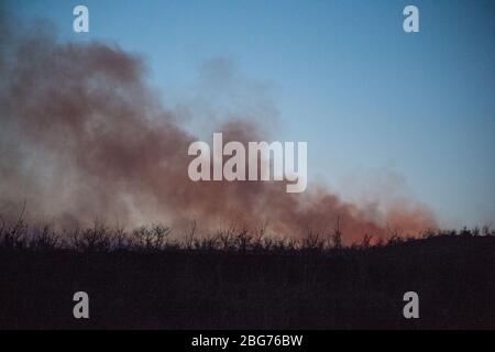 Kilpatrick Hills, Duntochter, Glasgow, Großbritannien. April 2020. Im Bild: Riesige Rauchwolken aus einem massiven Waldfeuer mit massiven Flammen auf den Kilpatrick-Hügeln in Glasgow. Quelle: Colin Fisher/Alamy Live News Stockfoto