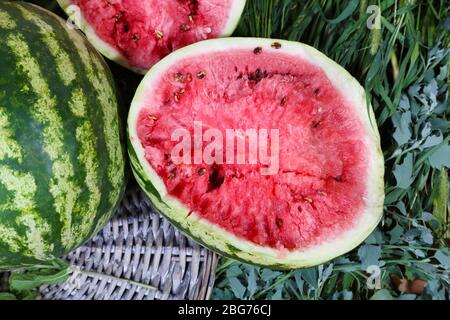 Reife Wassermelonen auf Weidenschale auf Gras Stockfoto