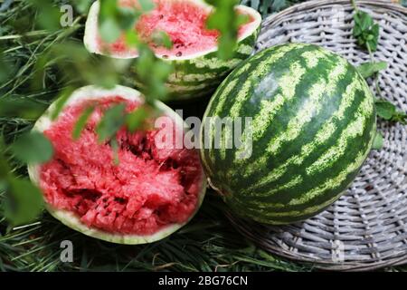 Reife Wassermelonen auf Weidenschale auf Gras Stockfoto