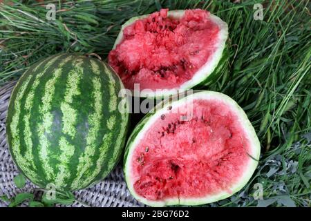 Reife Wassermelonen auf Weidenschale auf Gras Stockfoto