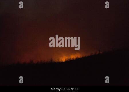 Kilpatrick Hills, Duntochter, Glasgow, Großbritannien. April 2020. Im Bild: Riesige Rauchwolken aus einem massiven Waldfeuer mit massiven Flammen auf den Kilpatrick-Hügeln in Glasgow. Quelle: Colin Fisher/Alamy Live News Stockfoto