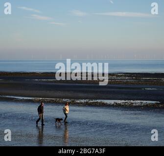 AJAXNETPHOTO. 2019. WORTHING, ENGLAND. - DIE FLUT IST AUS - EIN PAAR, DAS BEI SONNENUNTERGANG MIT SEINEM HUND AM STRAND SPAZIEREN GEHT.FOTO:JONATHAN EASTLAND/AJAX REF:GX8 171711 422 Stockfoto