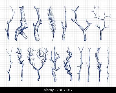 Handgezeichnete Holzzweige Kollektion. Holzskizzen auf Notizbuchseite. Vektorgrafik Stock Vektor