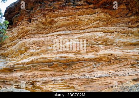 Wind erodierte Höhle in der Nähe von Anvil Rock und Blackheath Blue Mountains New South Wales Australien Stockfoto