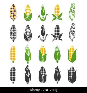 Schwarze und farbige Maisernte-Symbole auf weißem Hintergrund isoliert. Vektor Mais Silhouette, Ernte Pflanze Natur Illustration Stock Vektor