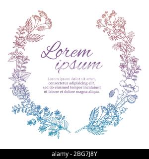 Farbenfroher Hochzeitskranz mit wilden Blumen und Kräutern auf weißem Hintergrund isoliert. Vektor floralen Zweig, Kräuter Zeichnung Natur Illustration Stock Vektor