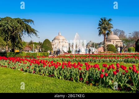 Fatih, Istanbul, Türkei, 12. April 2007: Tulpen, Hurrem Sultan Bath, Sultanahmet Square. Stockfoto