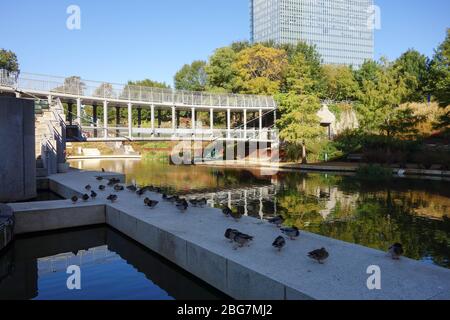 Myriad Botanical Gardens in Oklahoma City, OK Stockfoto