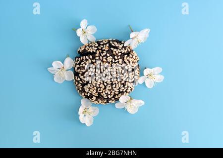 Schokoladenkekse mit Sesamsamen und Kirschblüten auf blauem Hintergrund. Brownie Cookies mit weißen Blumen. Backen mit Schokolade Draufsicht. Stockfoto