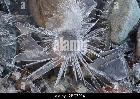 Bunte Felsen umgeben von sternenartigen Eisformationen in einem kleinen Bach Stockfoto