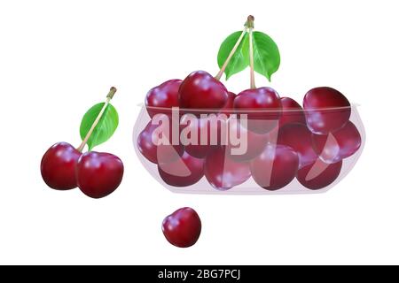 Kirsche. Kirschen in Glasschüssel auf weißem Hintergrund isoliert.schöne saftige Beeren in tiefen Teller.Heap von reifen Kirschen.Stock Vektor-Illustration Stock Vektor