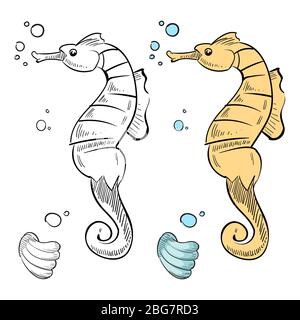 Ozean wilde Leben Malvorlagen. Handgezeichnetes Seepferdchen und Muschel isoliert auf weißem Hintergrund. Vektorgrafik Stock Vektor
