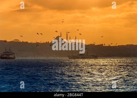 Fatih, Istanbul, Türkei, 08. März 2007: Suleymaniye Moschee, Sultan Suleyman 1557, Möwen, Sonnenuntergang Stockfoto