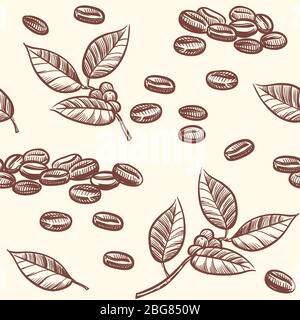 Kaffeebohnen und Blätter, Espresso, Cappuccino Vektor nahtlose Muster in Skizze Stil. Illustration der Kakaobohne, Schokolade Zeichnung Zutat Stock Vektor