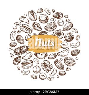 Etikett für die Essensmutter. Hand gezeichnete Nüsse und Samen Vektor-Emblem auf weißem Hintergrund isoliert. Natürliche Zeichnung Nußschale Abzeichen Illustration Stock Vektor