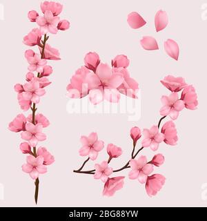Frühling Sakura Kirsche blühende Blumen, rosa Blütenblätter und Zweige Vektor-Set für Ihr eigenes Design.realistische Satz von schönen Sakura Zweige Blumen und Blütenblätter auf rosa Hintergrund isoliert. Eps 10 Stock Vektor