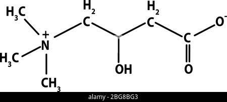 Vitamin B11. L-Carnitin Molekulare chemische Formel. Infografiken. Vektorgrafik auf isoliertem Hintergrund. Stock Vektor