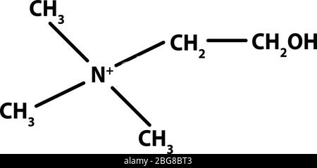 Vitamin B4. Cholin Molekulare chemische Formel. Infografiken. Vektorgrafik auf isoliertem Hintergrund. Stock Vektor