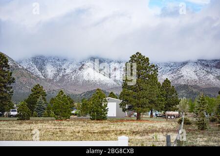 Schneebedeckte Berge in Flagstaff, AZ Stockfoto