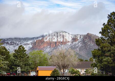 Schneebedeckte Berge in Flagstaff, AZ Stockfoto