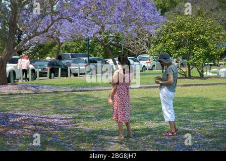 New Farm Park, Brisbane Queensland Australien. Stockfoto