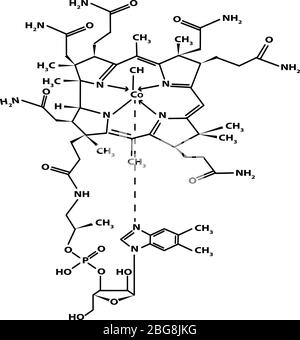 Vitamin B12. Cyanocobalamin Molekulare chemische Formel. Infografiken. Vektorgrafik auf isoliertem Hintergrund. Stock Vektor