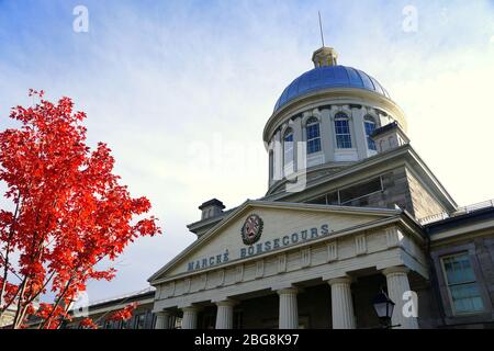 Old Montreal, Kanada - 25. Oktober 2019 - der Blick auf den Markt von Bonsecours, umgeben von markanten roten Farben aus Herbstlaub Stockfoto