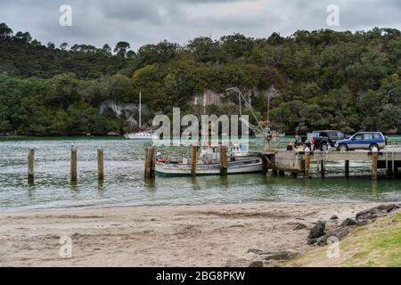 Angelboote entladen an Whitianga Wharf, Whitianga, Coromandel Peninsula, North Island Neuseeland Stockfoto