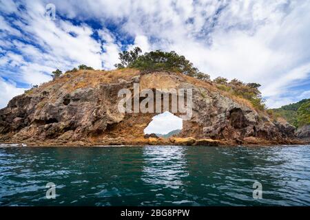 Felsvorsprung in der Nähe von Cathedral Cove, Hahei, Coromandel Peninsula, North Island, Neuseeland Stockfoto