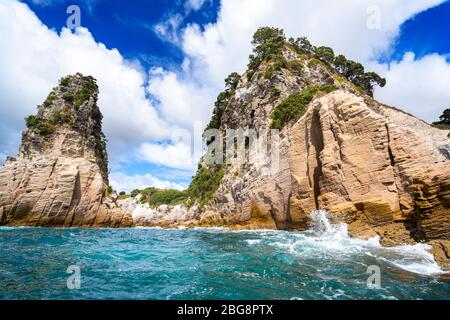 Felsvorsprung in der Nähe von Cathedral Cove, Hahei, Coromandel Peninsula, North Island, Neuseeland Stockfoto