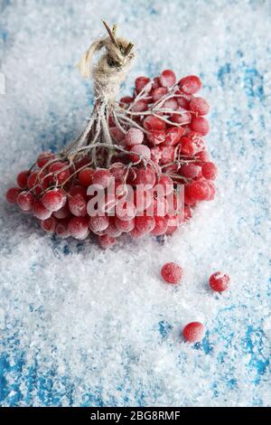 Rote Beeren von Viburnum mit Eiskristallen, auf blauem Hintergrund Stockfoto