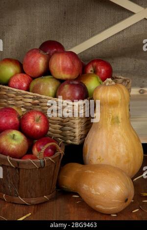 Äpfel in Körben und Kürbisse auf dem Regal ganz nah dran Stockfoto