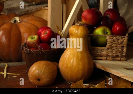 Äpfel in Körben und Kürbisse auf dem Regal ganz nah dran Stockfoto